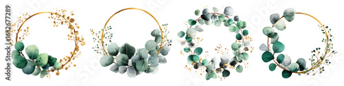 Set watercolor round wreath frames with eucalyptus and gold accent floral garland flowers wedding invitation isolated on transparent background