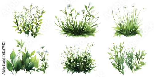 Set watercolor of green dense bushes lush shrubs grass gardening isolated on transparent background
