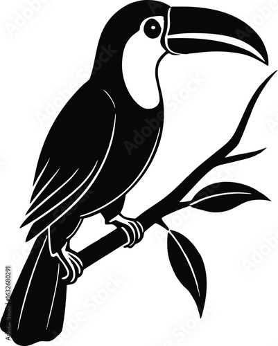 Toucan Bird Silhouette Vector