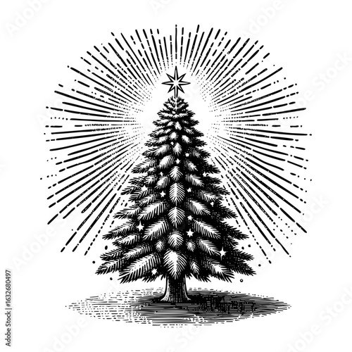 Engraved Illustration of Christmas tree vector hand drawing