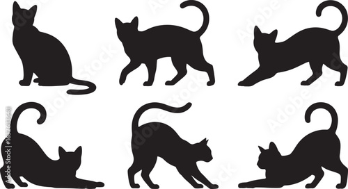 Silhouette Cat Collection Vector Illustration with Transparent Background Design Element