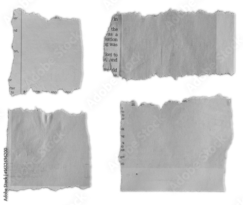 Torn pieces of paper