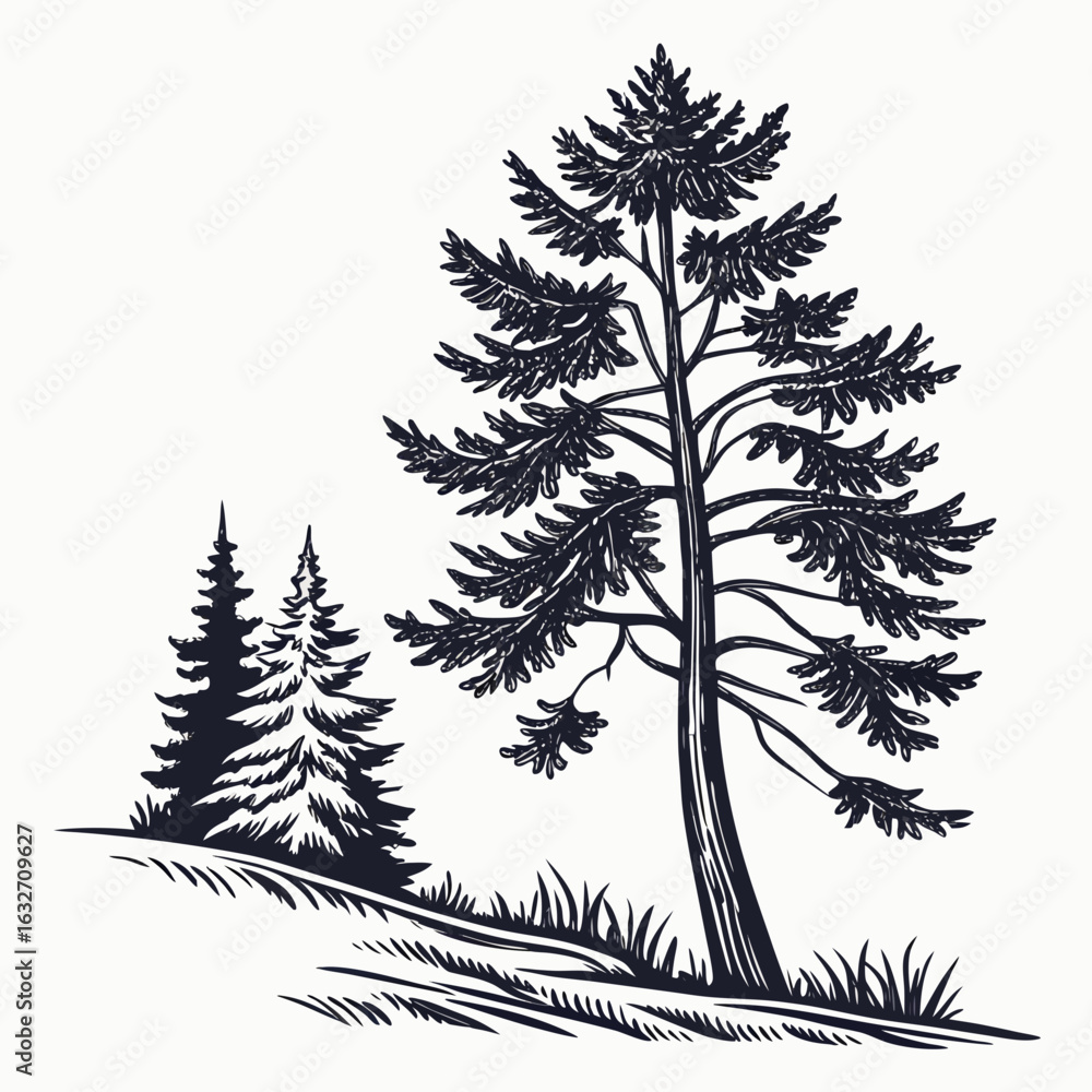 Obraz premium set of vector trees