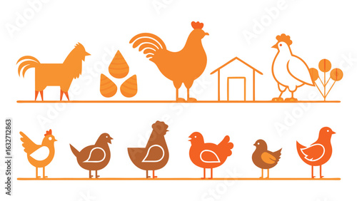 Chicken and rooster farm with hens and chicks vector set