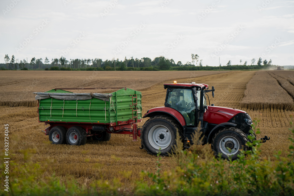 Naklejka premium Modern red tractor with green trailer harvesting wheat in rural field during late summer, showcasing agricultural machinery, food production and farmland logistics in countryside