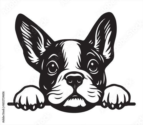 French Bulldog Peeking Over Edge | Black and White Cute Dog Line Art Vector