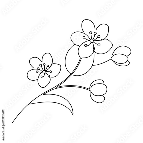 Delicate cherry blossom branch with buds flower petals