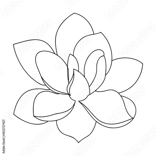 Delicate magnolia blossom outline flower line art