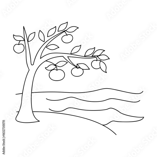Pomegranate tree with fruit and wavy water leaves branches