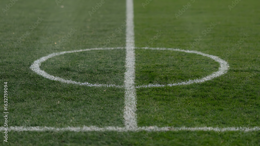 Fototapeta premium A soccer field's center circle, marked by white lines on the green grass.