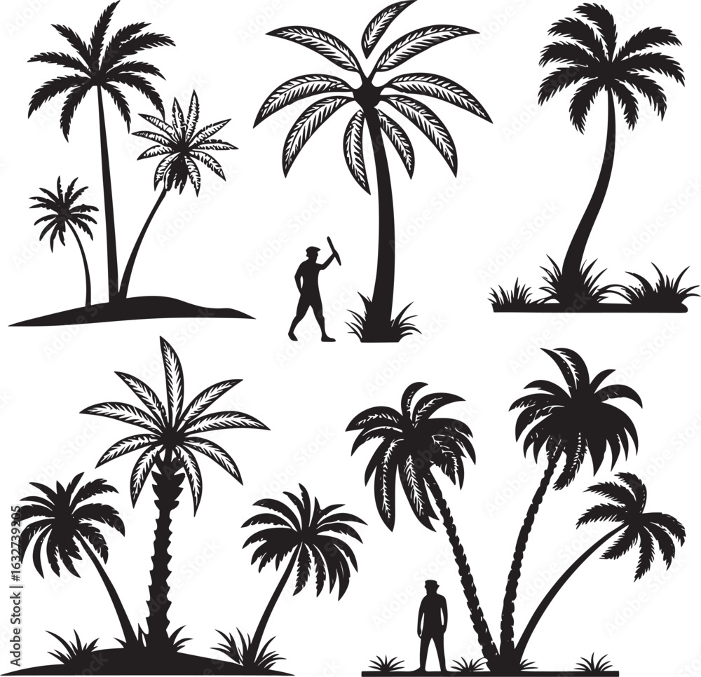 Fototapeta premium Palm Tree Silhouette Design Collection