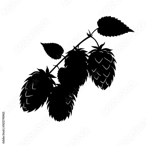 Hops branch silhouette featuring lush hop plant foliage against white backdrop, perfect for brewery designs. Hops are crucial brewing ingredient and flavor component,