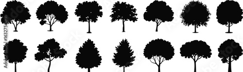 Tree silhouette vector set, fifteen distinct shapes, black outline illustration, botanical structure variation, nature design element, educational foliage reference