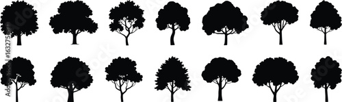 Tree silhouette vector set, fifteen unique shapes, foliage variation, botanical design element, black outline illustration, nature graphic, educational reference