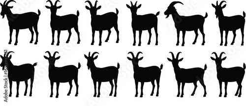 Goat silhouette vector set, black animal illustration, horn shape variation, tail position detail, left-facing poses, livestock graphic design