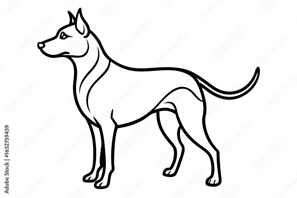 Fototapeta premium Dog silhouette with black and white