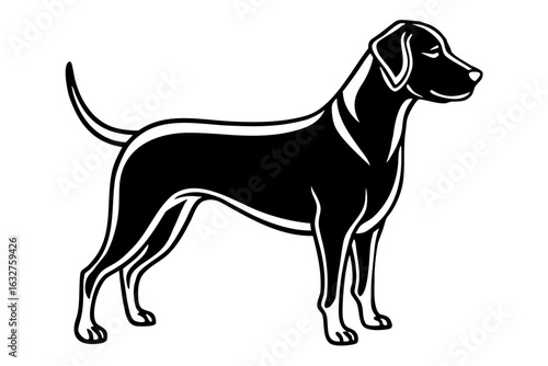 Dog silhouette with black and white