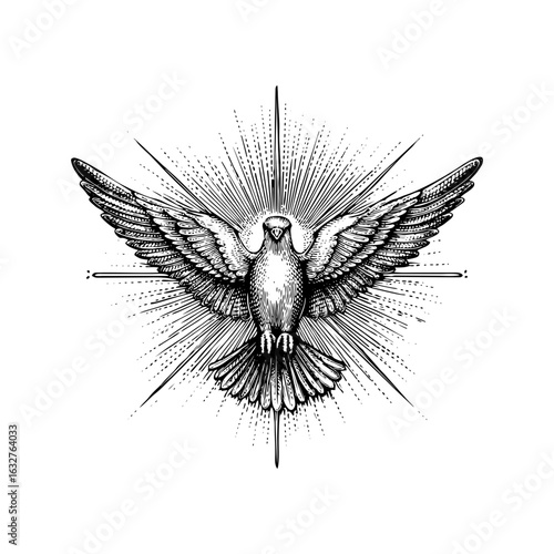 Engraving style illustration of flying dove with radiant beams in black and white on transparent background – Religious vector for church materials, baptism invitations, and spiritual books