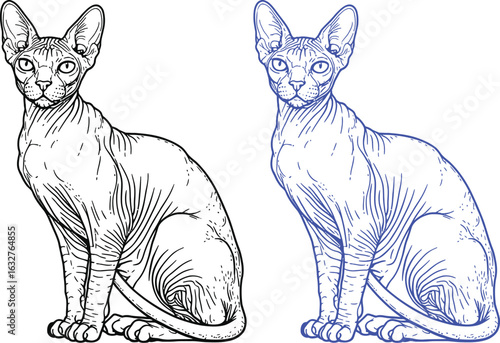 Isolated sphynx cat line drawing vector illustration design