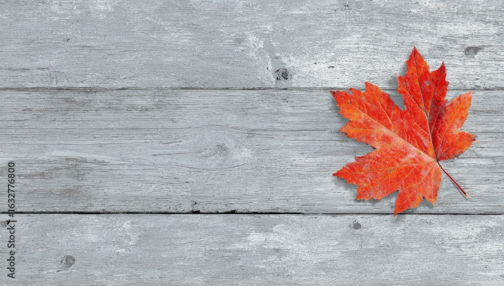 Red maple leaf on rustic wood background Red maple leaf on rustic wood background