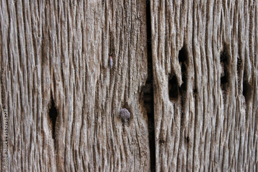 Obraz premium old wood texture