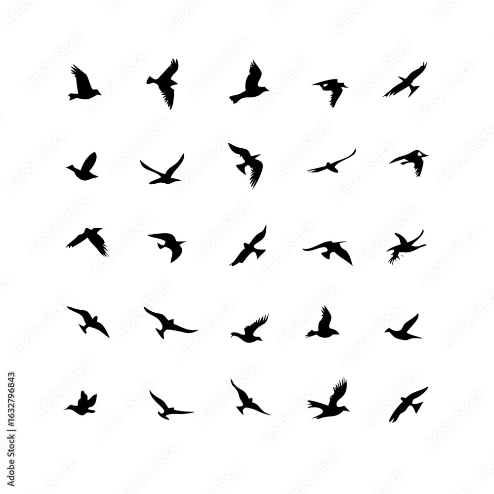 Fototapeta premium 25 Birds: Nature's Colorful Avian Wonders&nbsp;