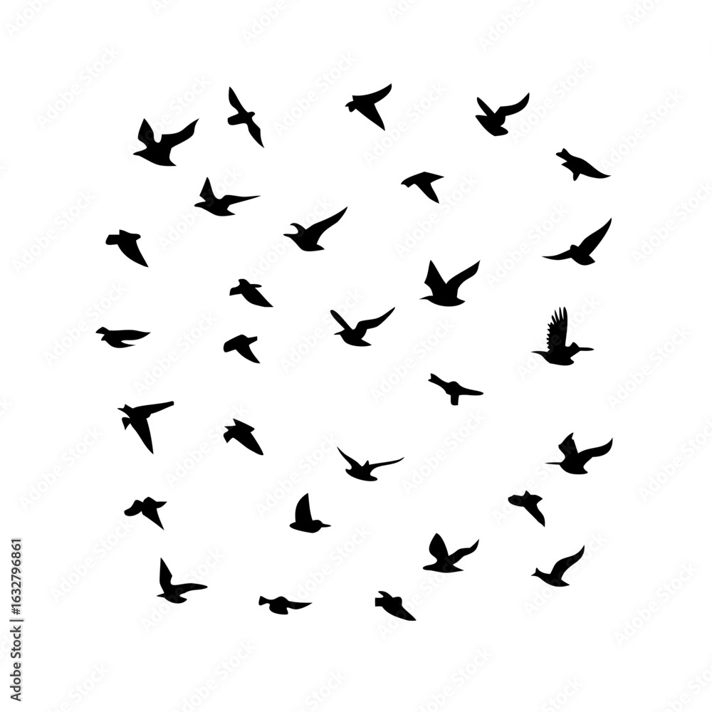 Naklejka premium 25 Birds: Nature's Colorful Avian Wonders
