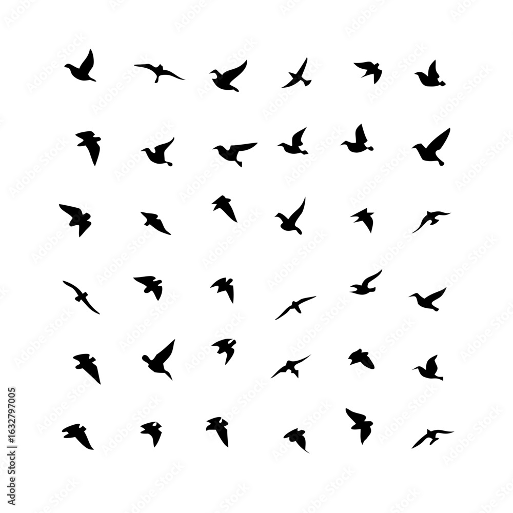 25 Birds: Nature's Colorful Avian Wonders 25 Birds: Nature's Colorful Avian Wonders