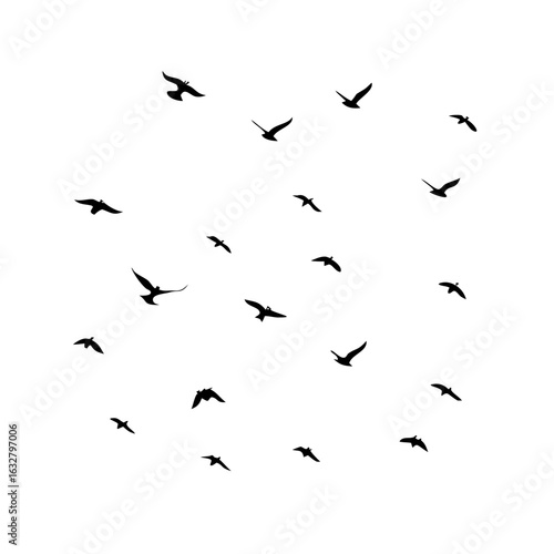 Wallpaper Mural 25 Birds: Nature's Colorful Avian Wonders  Torontodigital.ca