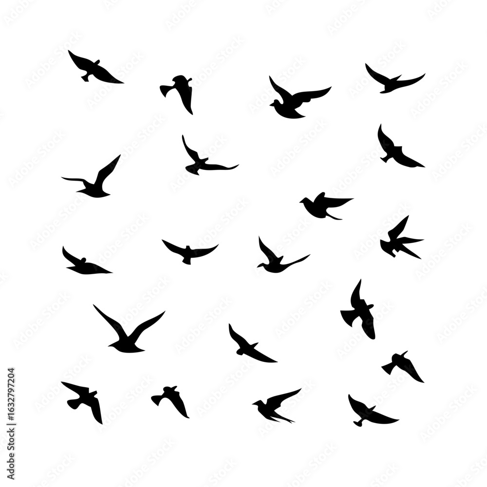 Fototapeta premium 25 Birds: Nature's Colorful Avian Wonders