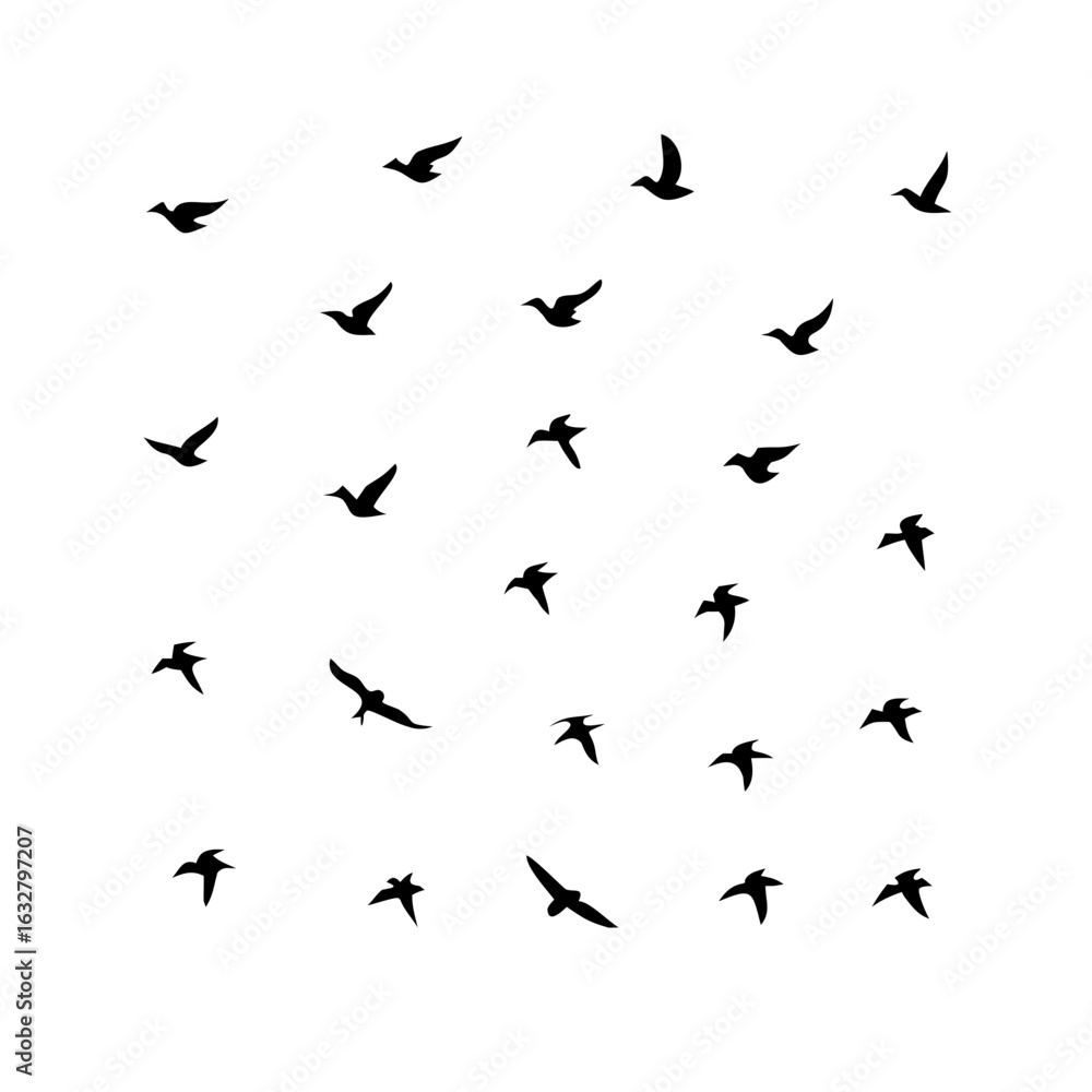 25 Birds: Nature's Colorful Avian Wonders 25 Birds: Nature's Colorful Avian Wonders