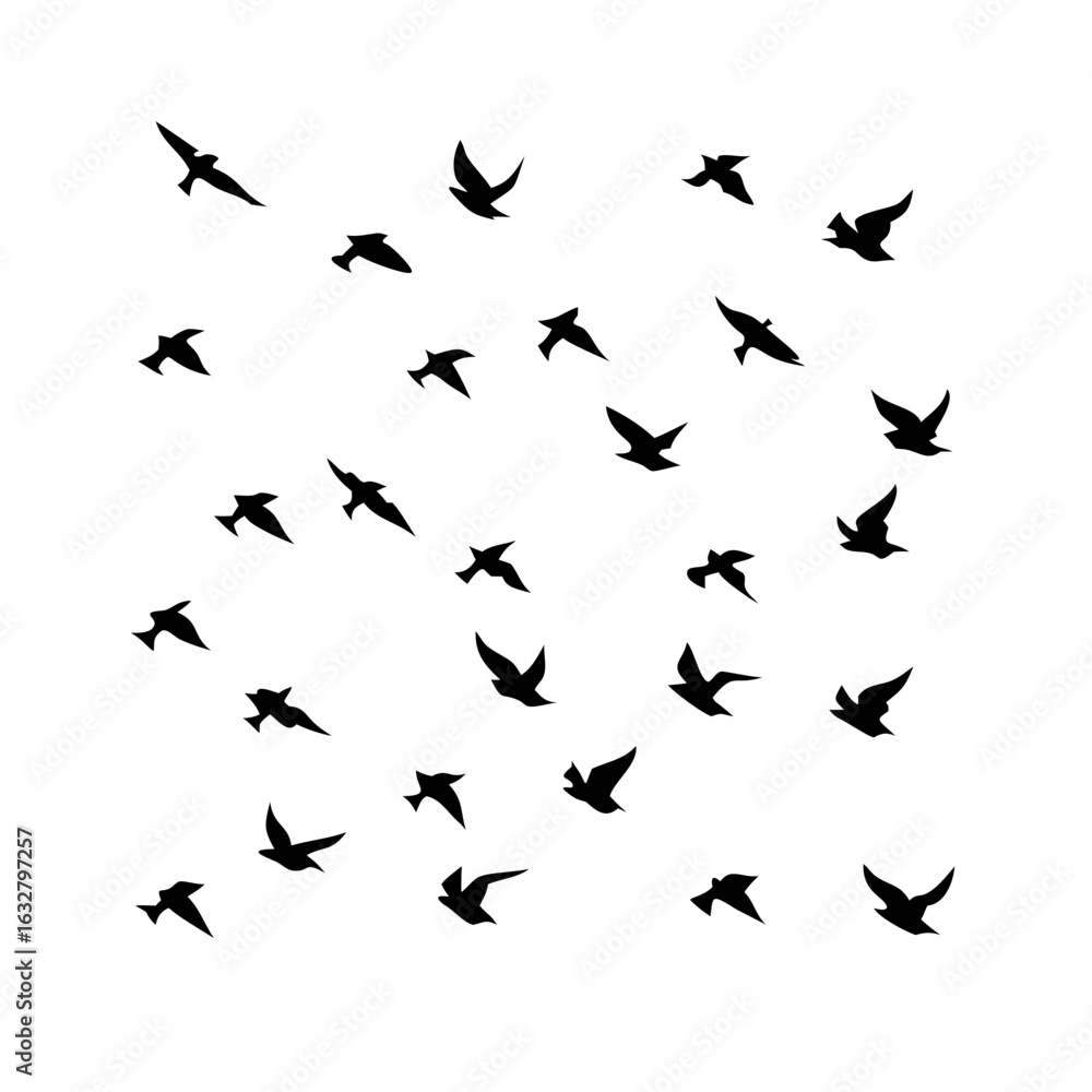 Naklejka premium 25 Birds: Nature's Colorful Avian Wonders