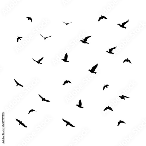 Wallpaper Mural 25 Birds: Nature's Colorful Avian Wonders  Torontodigital.ca