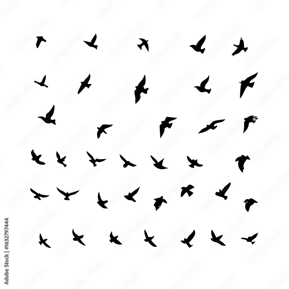 Naklejka premium 25 Birds: Nature's Colorful Avian Wonders