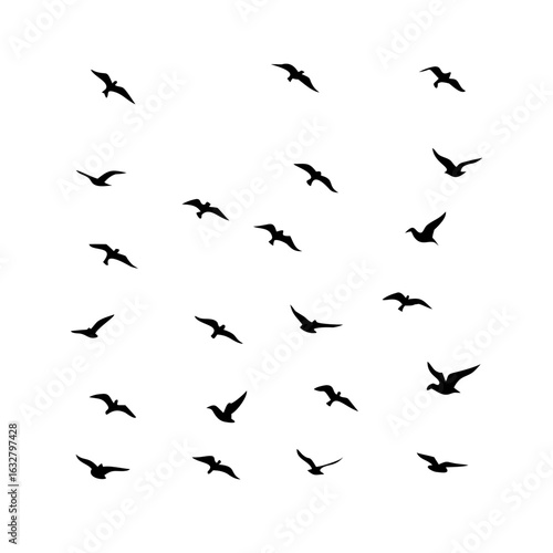 Wallpaper Mural 25 Birds: Nature's Colorful Avian Wonders  Torontodigital.ca