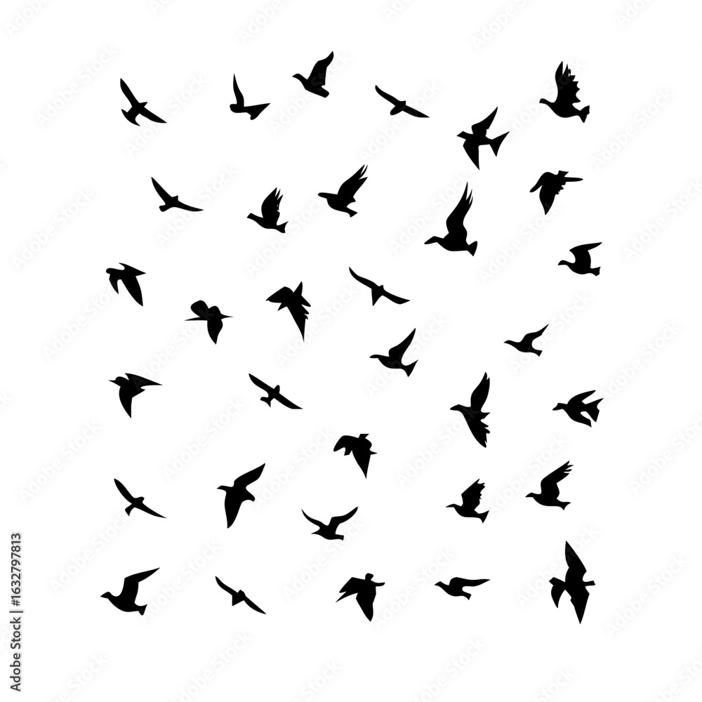 Naklejka premium 25 Birds: Nature's Colorful Avian Wonders