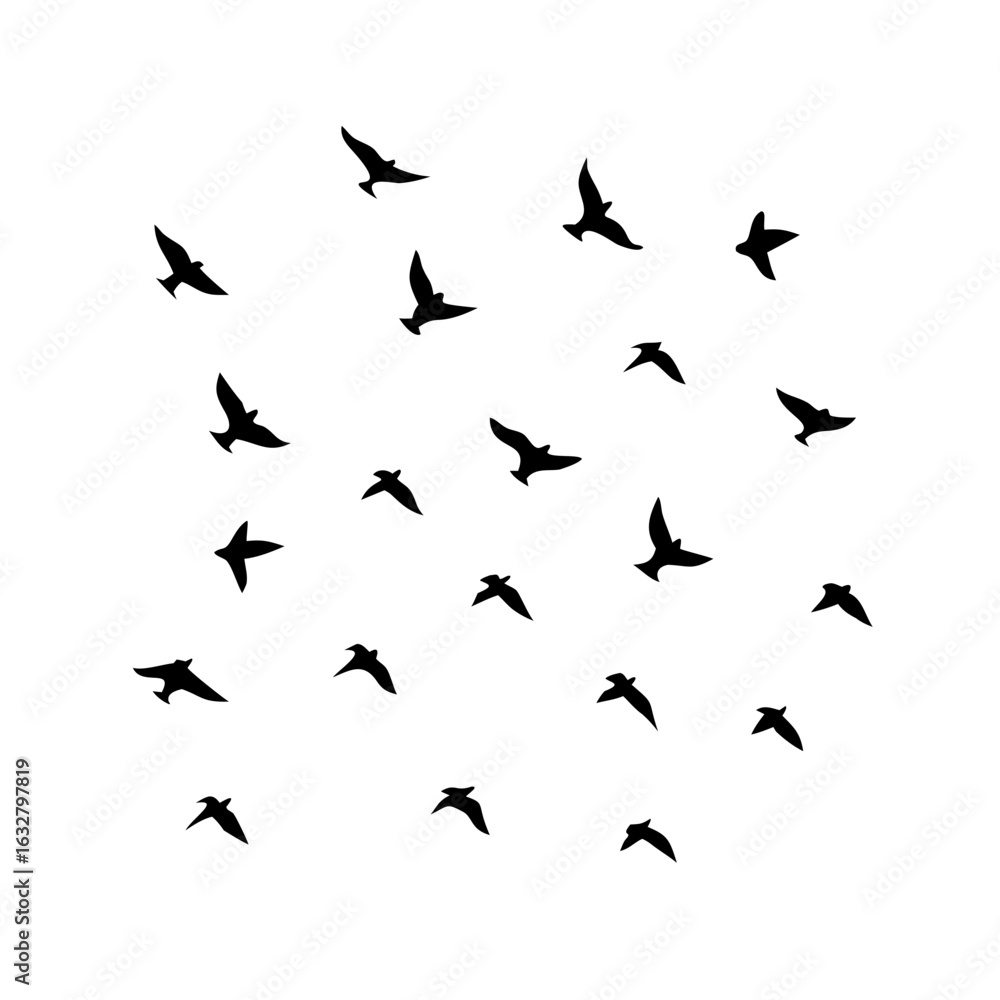 Naklejka premium 25 Birds: Nature's Colorful Avian Wonders&nbsp;