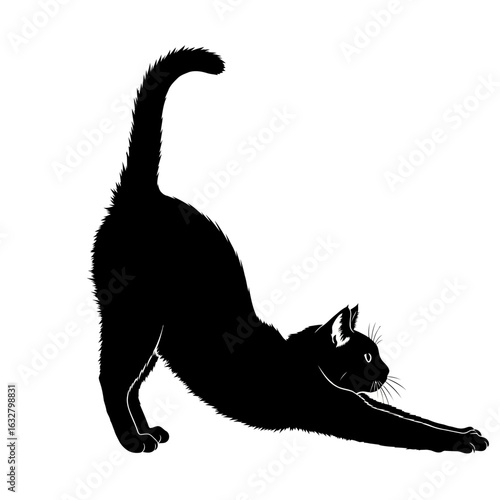 Silhouette of a black cat stretching its body, arching its back.