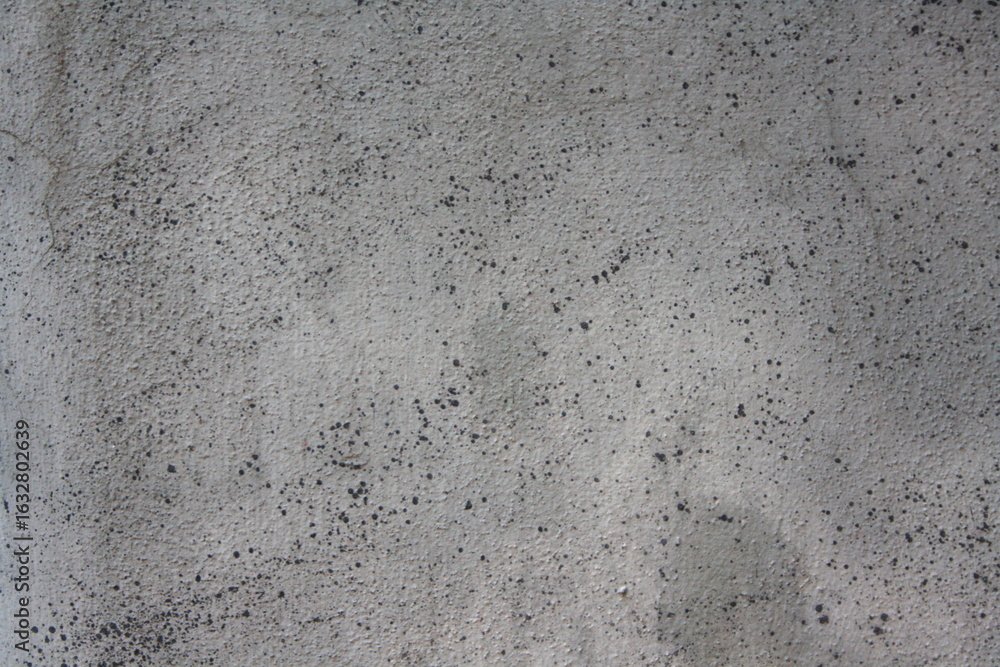Fototapeta premium concrete wall texture