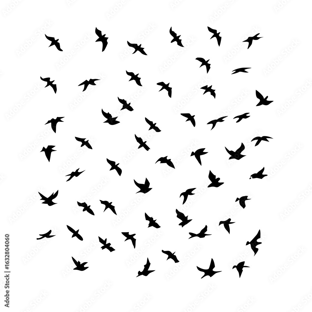Obraz premium 25 Birds: Nature's Colorful Avian Wonders