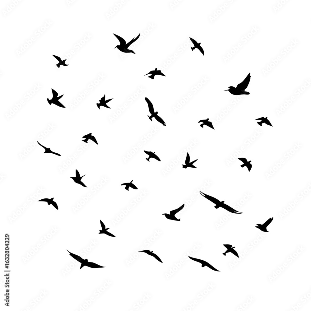 Fototapeta premium 25 Birds: Nature's Colorful Avian Wonders