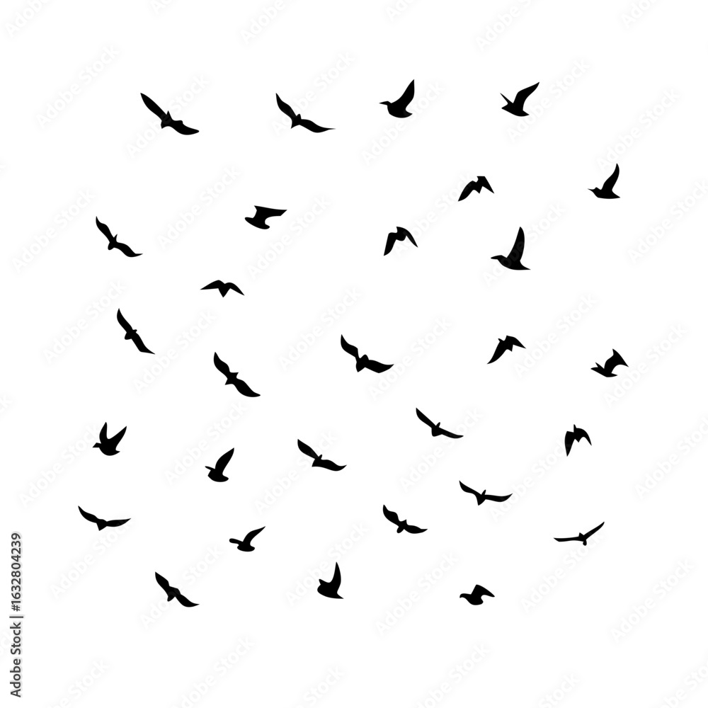 Fototapeta premium 25 Birds: Nature's Colorful Avian Wonders