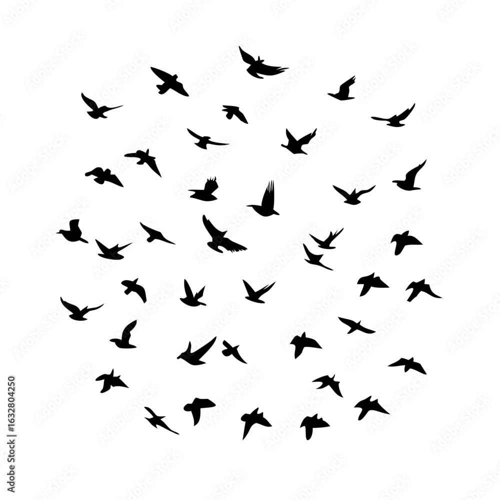 25 Birds: Nature's Colorful Avian Wonders 25 Birds: Nature's Colorful Avian Wonders
