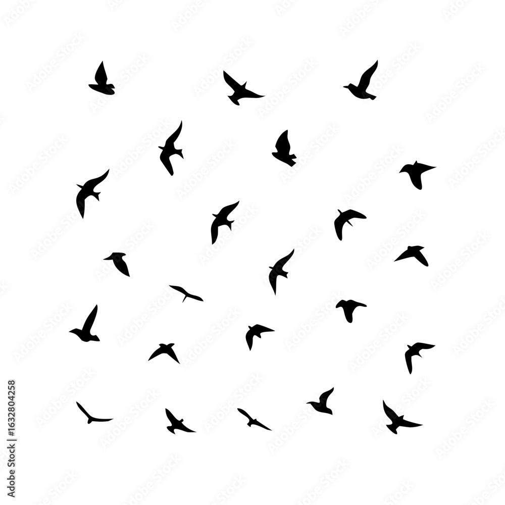 Naklejka premium 25 Birds: Nature's Colorful Avian Wonders