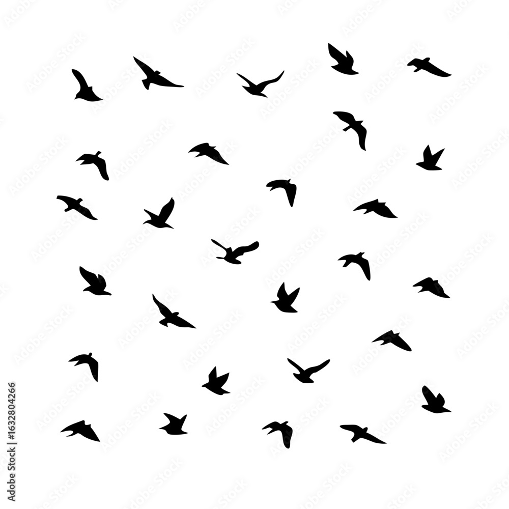 25 Birds: Nature's Colorful Avian Wonders 25 Birds: Nature's Colorful Avian Wonders