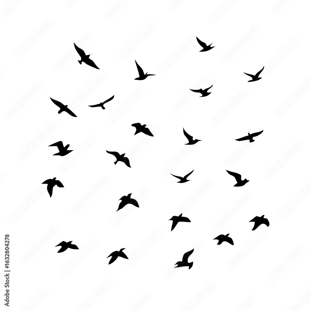 Naklejka premium 25 Birds: Nature's Colorful Avian Wonders