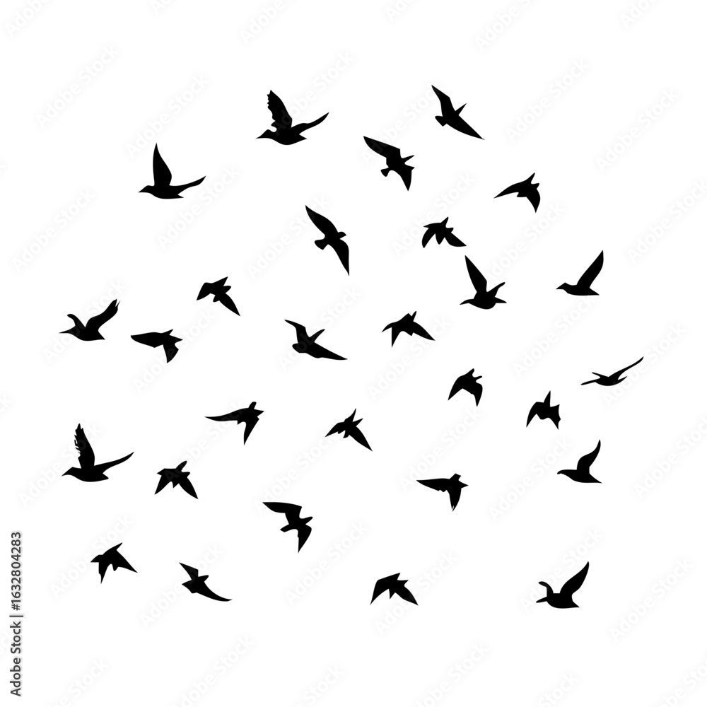 25 Birds: Nature's Colorful Avian Wonders 25 Birds: Nature's Colorful Avian Wonders