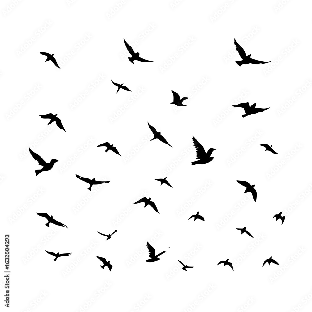 25 Birds: Nature's Colorful Avian Wonders 25 Birds: Nature's Colorful Avian Wonders