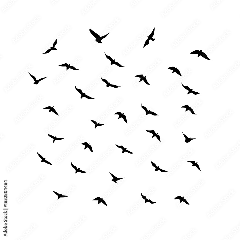 Obraz premium 25 Birds: Nature's Colorful Avian Wonders