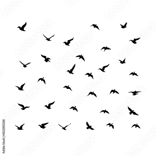 Wallpaper Mural 25 Birds: Nature's Colorful Avian Wonders  Torontodigital.ca